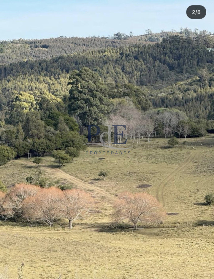 Campo en venta de 26 hectáreas con casa en Minas. - Imagen 2