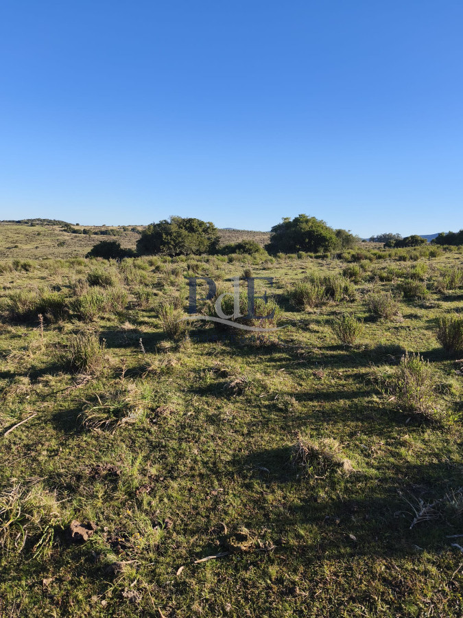 Venta de campo de 103 Has en Las Cañas. Maldonado. - Imagen 7
