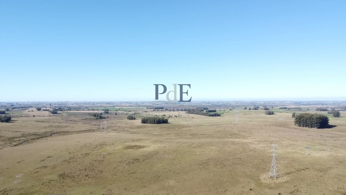 Venta de Campo de 103 Has Partido Norte - Imagen 2