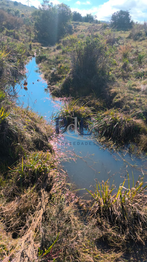 Venta de Campo de 150Ha en Lavalleja - Imagen 4