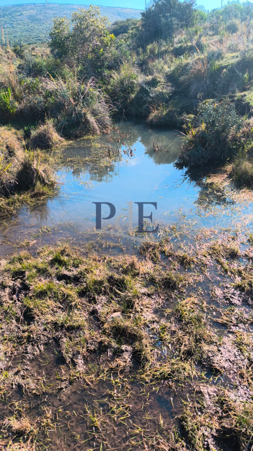 Venta de Campo de 150Ha en Lavalleja - Imagen 3