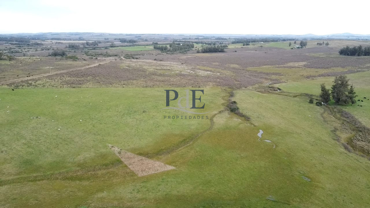 Venta de campo de 34 Has en Pan de Azucar - Imagen 6