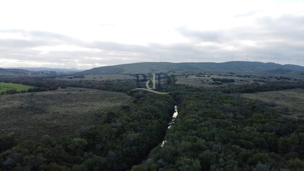 Venta de campo de 240 Has Zona Las Cañas. - Imagen 2