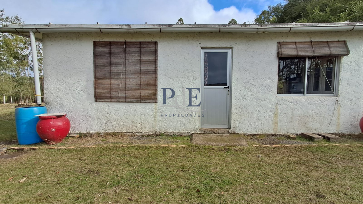 Campo en venta de 26 hectáreas con casa en Minas. - Imagen 4