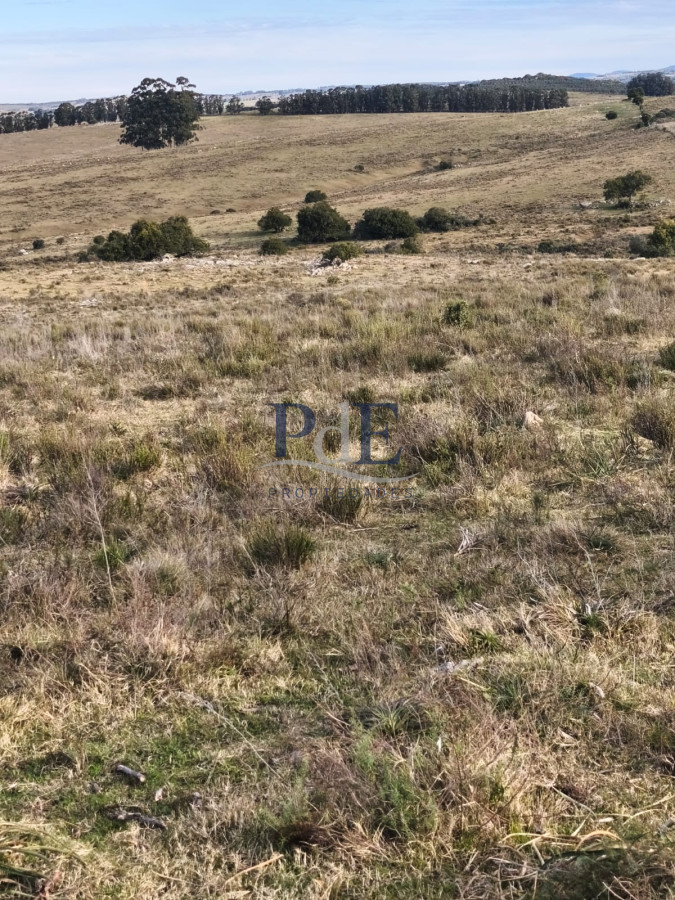 Venta de campo de 240 Has Zona Las Cañas. - Imagen 9