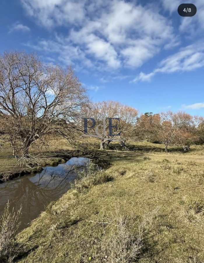 Campo en venta de 26 hectáreas con casa en Minas. - Imagen 3