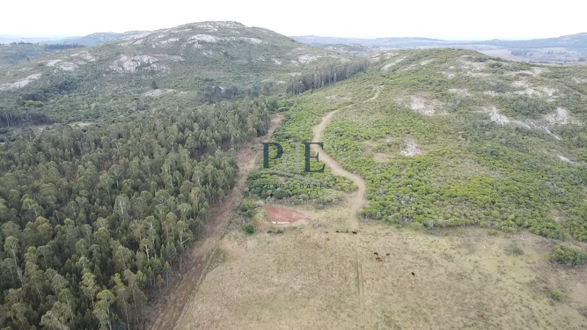 Venta de Campo de 25 Ha ruta 60. Maldonado.