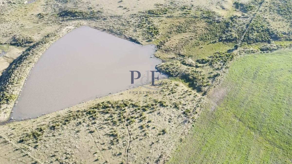 Venta de campo de 103 Has en Las Cañas. Maldonado. - Imagen 10