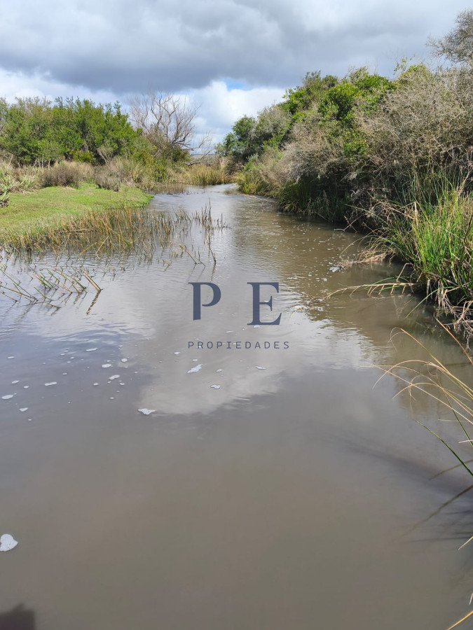 Venta de Campo de 150Ha en Lavalleja