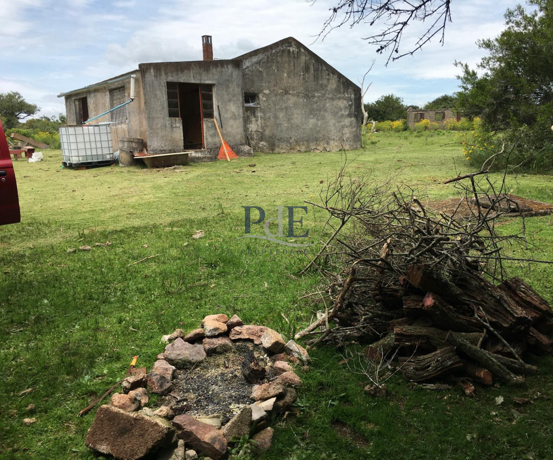 Venta de campo de 26 Has en la Coronilla.