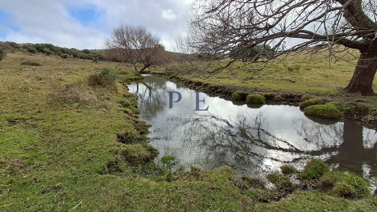 Campo en venta de 26 hectáreas con casa en Minas. - Imagen 1