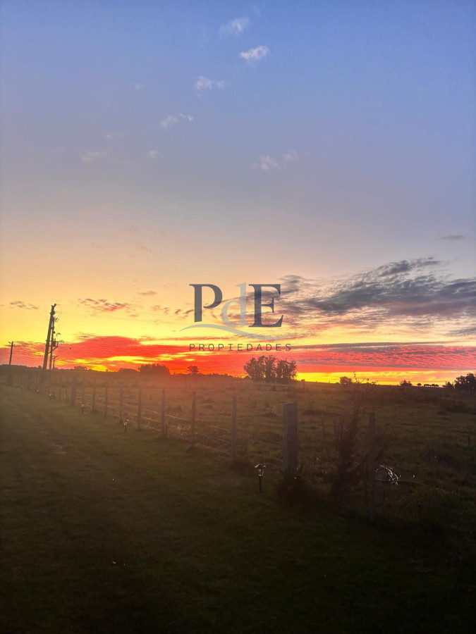 Venta de Campo de 21 Ha en Jose Ignacio. - Imagen 4