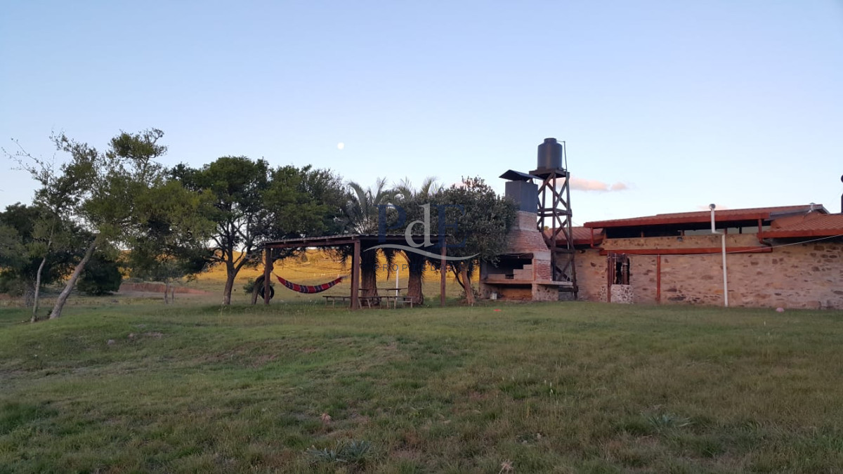 Campo agrícola, ganadero ubicado en un entorno natural. Maldonado - Imagen 9