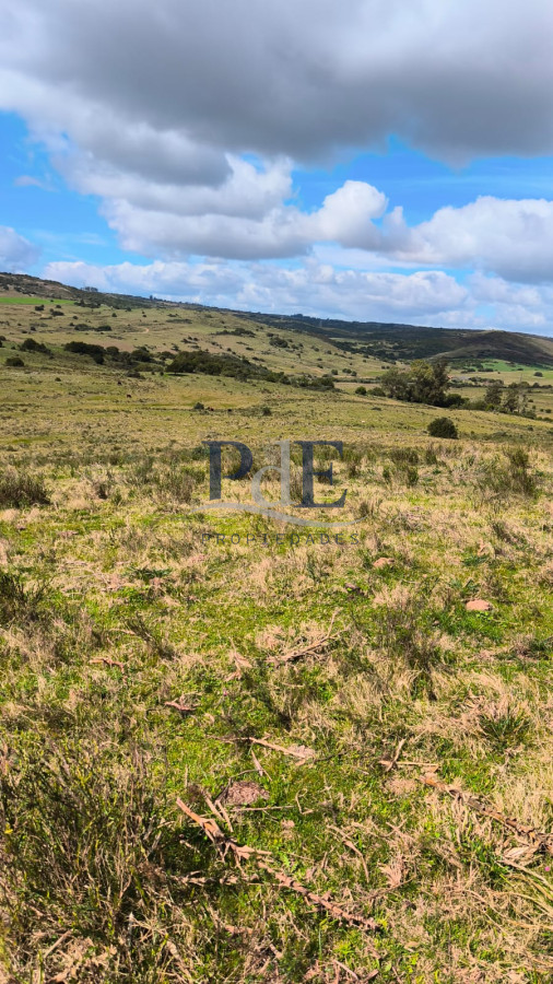 Venta de Campo de 150Ha en Lavalleja - Imagen 6