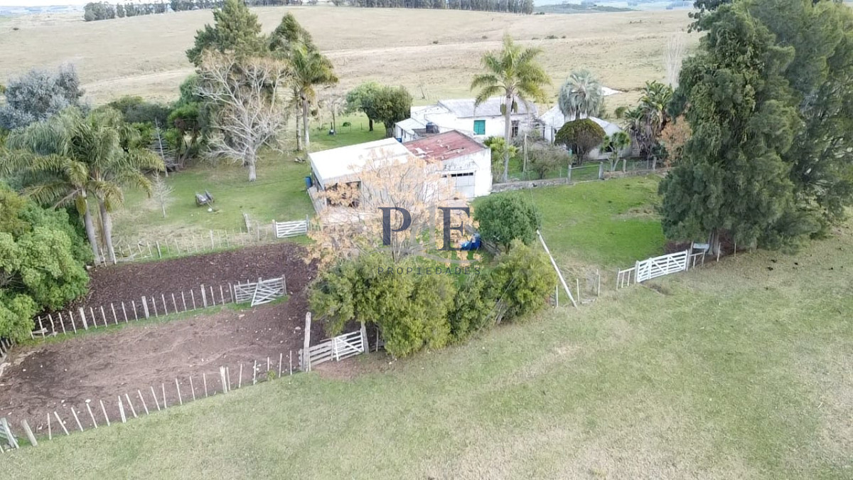 Venta de campo de 240 Has Zona Las Cañas.