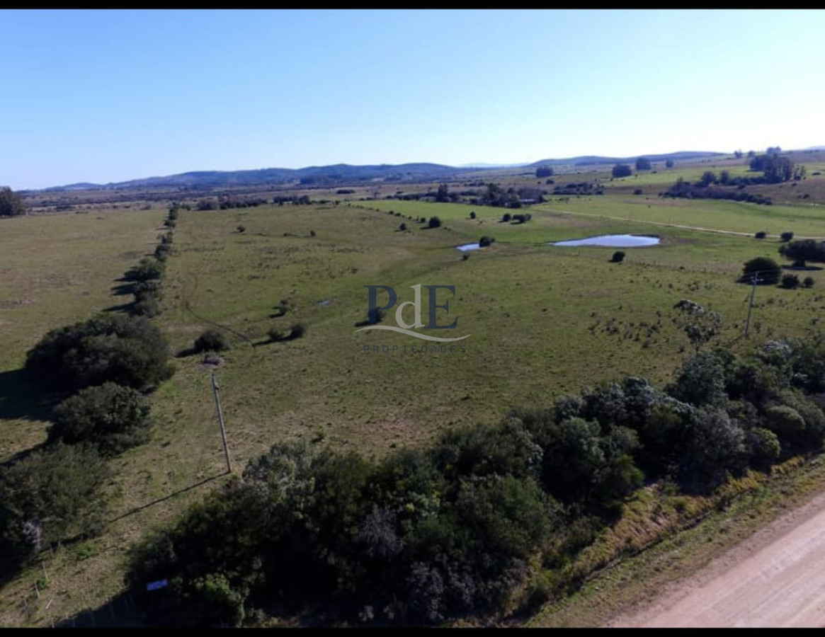Venta de campo de 22 Ha en Zanja de Chavez. - Imagen 6