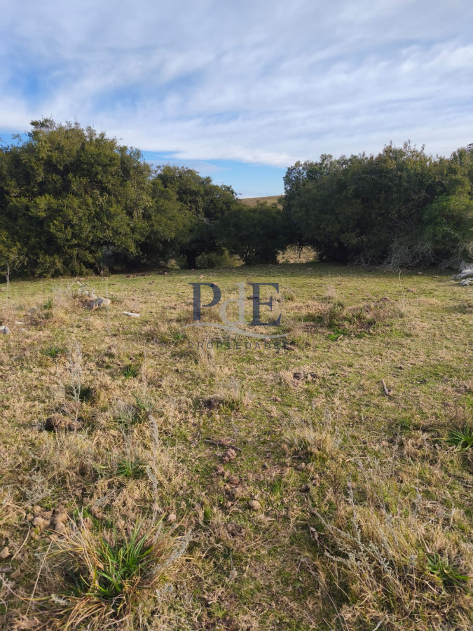 Venta de campo de 240 Has Zona Las Cañas. - Imagen 4