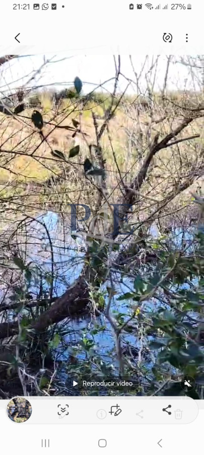 Venta de campo de 20 Ha. en Paso del Tigre. Ruta 9 - Imagen 2