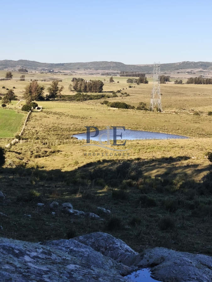 Venta de campo de 103 Has en Las Cañas. Maldonado. - Imagen 8