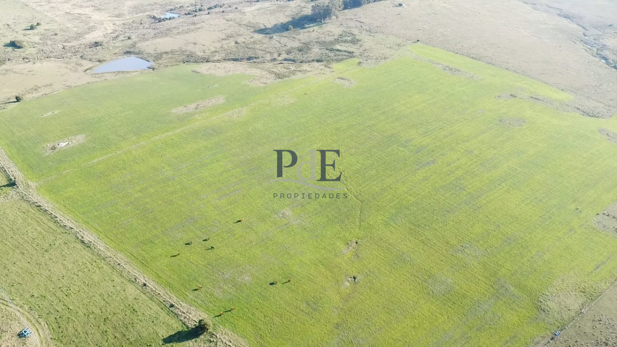 Venta de campo de 103 Has en Las Cañas. Maldonado. - Imagen 4