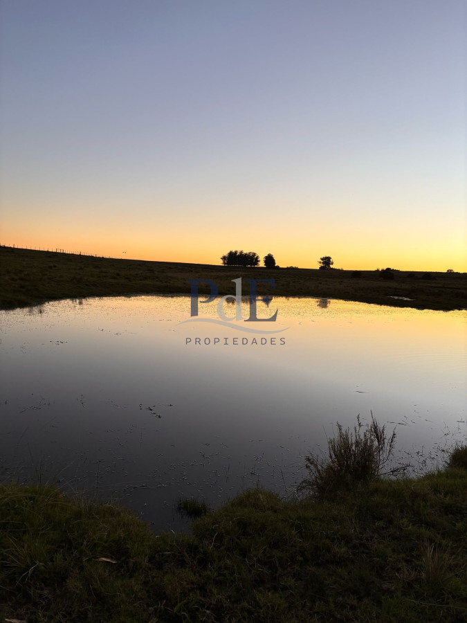 Venta de Campo de 21 Ha en Jose Ignacio. - Imagen 1