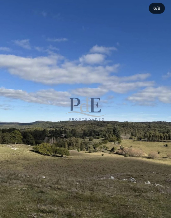 Campo en venta de 26 hectáreas con casa en Minas. - Imagen 7