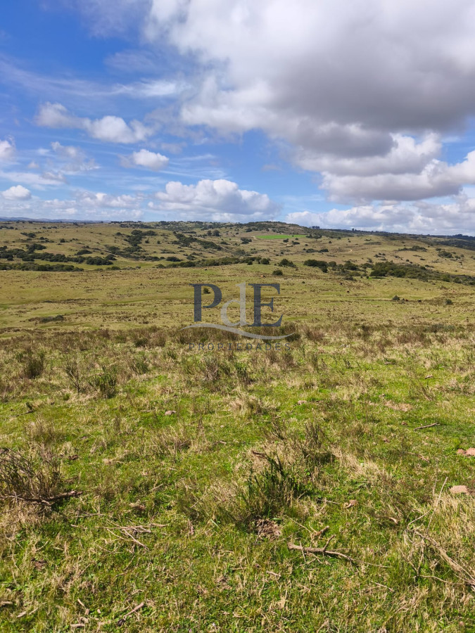 Venta de Campo de 150Ha en Lavalleja - Imagen 8