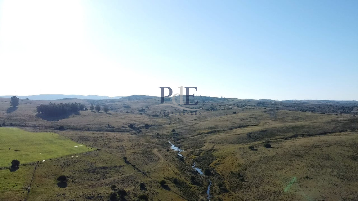 Venta de campo de 103 Has en Las Cañas. Maldonado. - Imagen 11