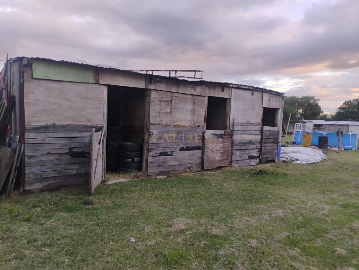 Chacra ID.5026 - CHACRA 5 HECTAREAS EN VENTA SAN FELIX PAYSANDU