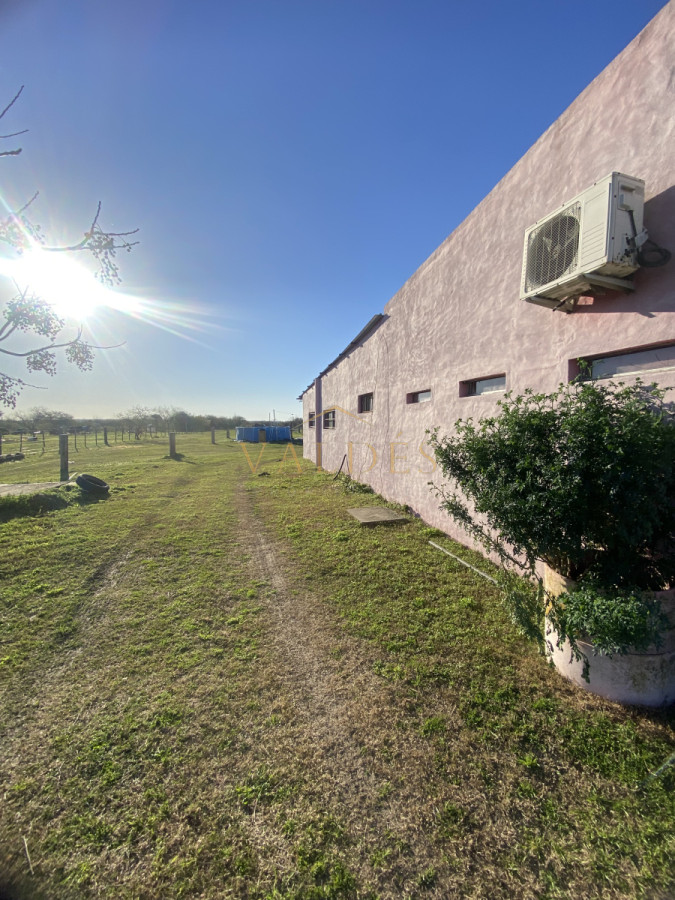 Chacra ID.5026 - CHACRA 5 HECTAREAS EN VENTA SAN FELIX PAYSANDU