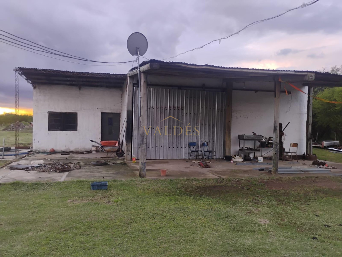 Chacra ID.5026 - CHACRA 5 HECTAREAS EN VENTA SAN FELIX PAYSANDU