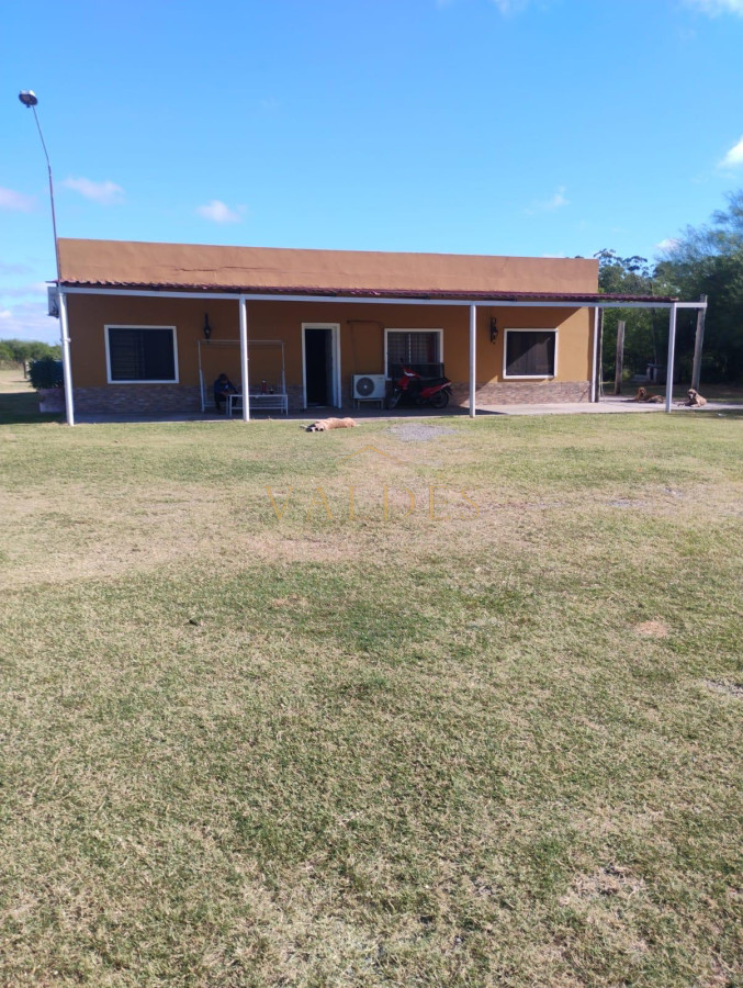Chacra ID.5026 - CHACRA 5 HECTAREAS EN VENTA SAN FELIX PAYSANDU