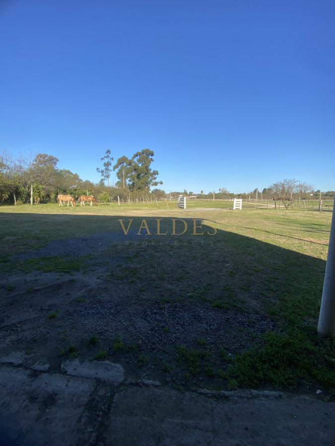 Chacra ID.5026 - CHACRA 5 HECTAREAS EN VENTA SAN FELIX PAYSANDU