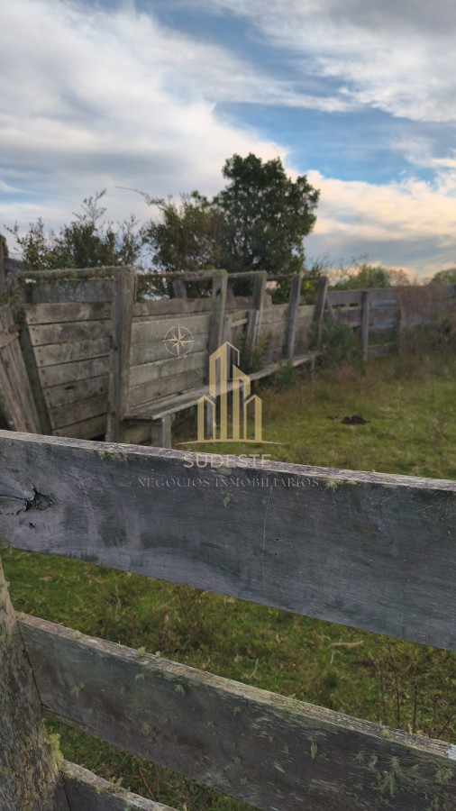 Campo Ref.48 - Venta de Campo de 77 Ha en Las Cañas