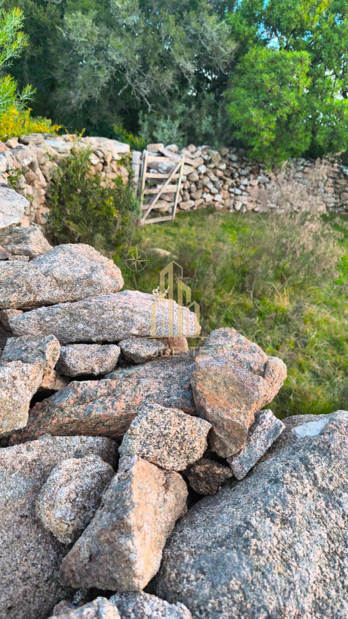 Campo Ref.48 - Venta de Campo de 77 Ha en Las Cañas