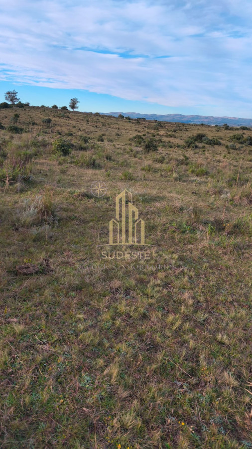 Campo Ref.48 - Venta de Campo de 77 Ha en Las Cañas
