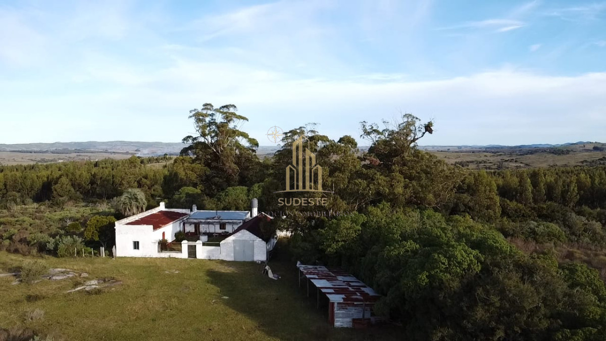 Campo Ref.48 - Venta de Campo de 77 Ha en Las Cañas