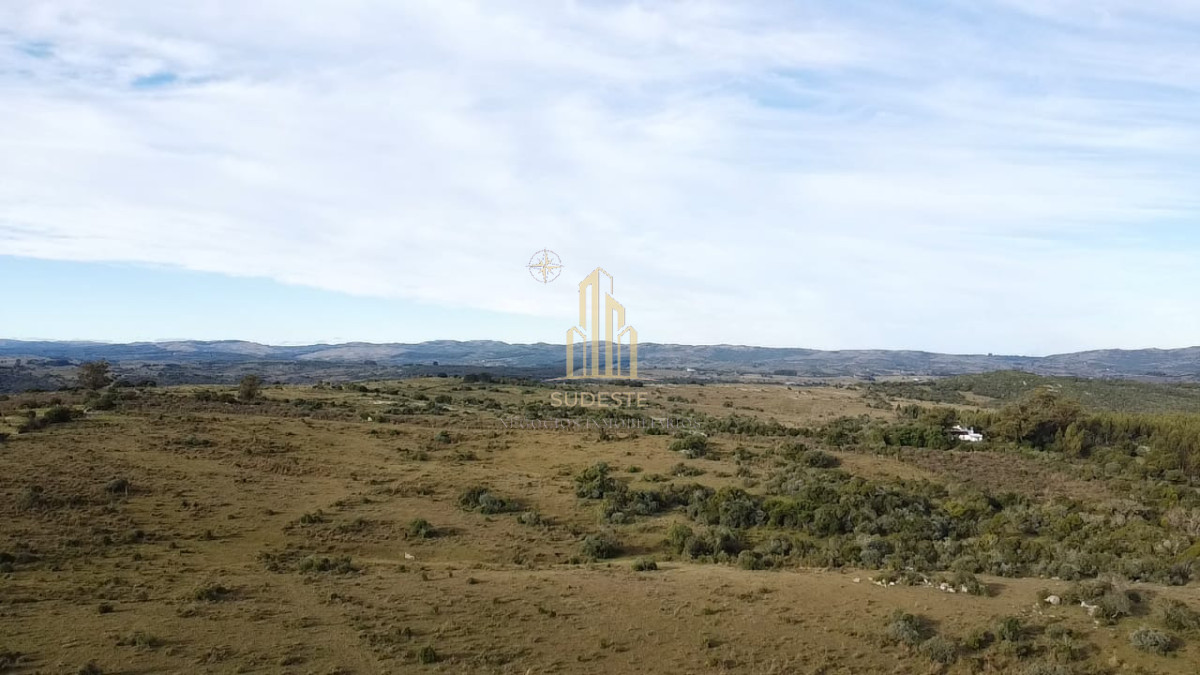 Campo Ref.48 - Venta de Campo de 77 Ha en Las Cañas