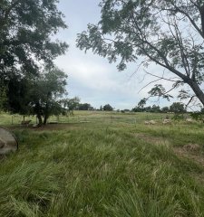 SE VENDE CAMPO EN CANELONES.