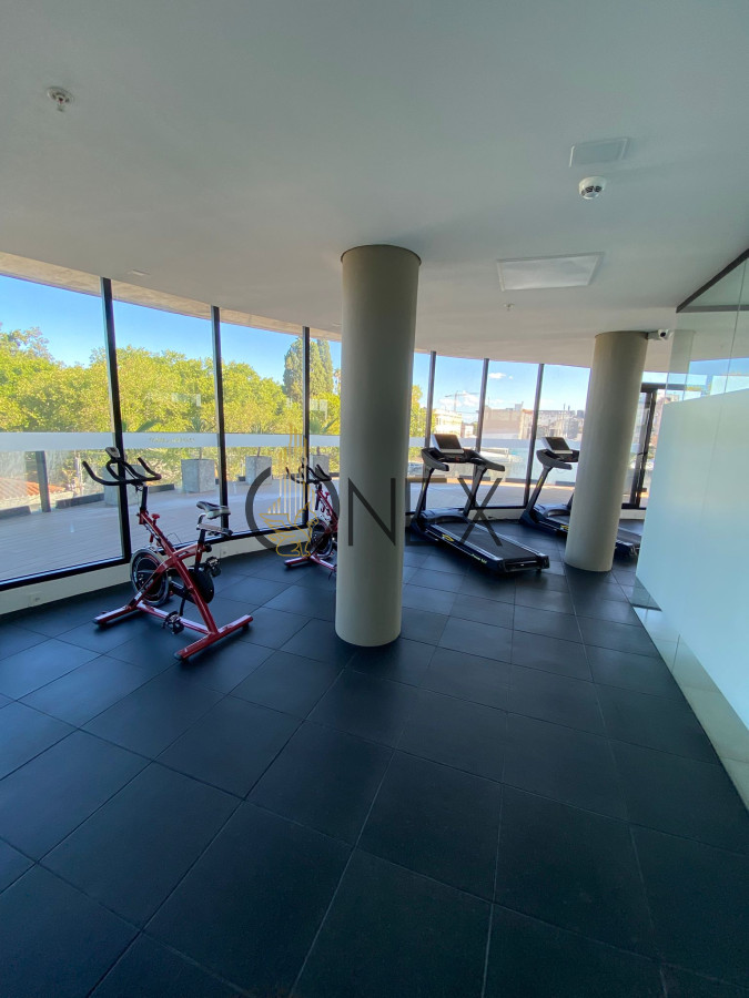 Apartamento ID.1667 - APARTAMNENTO EN ALQUILER TORRE DE LA DEFENSA PAYSANDU