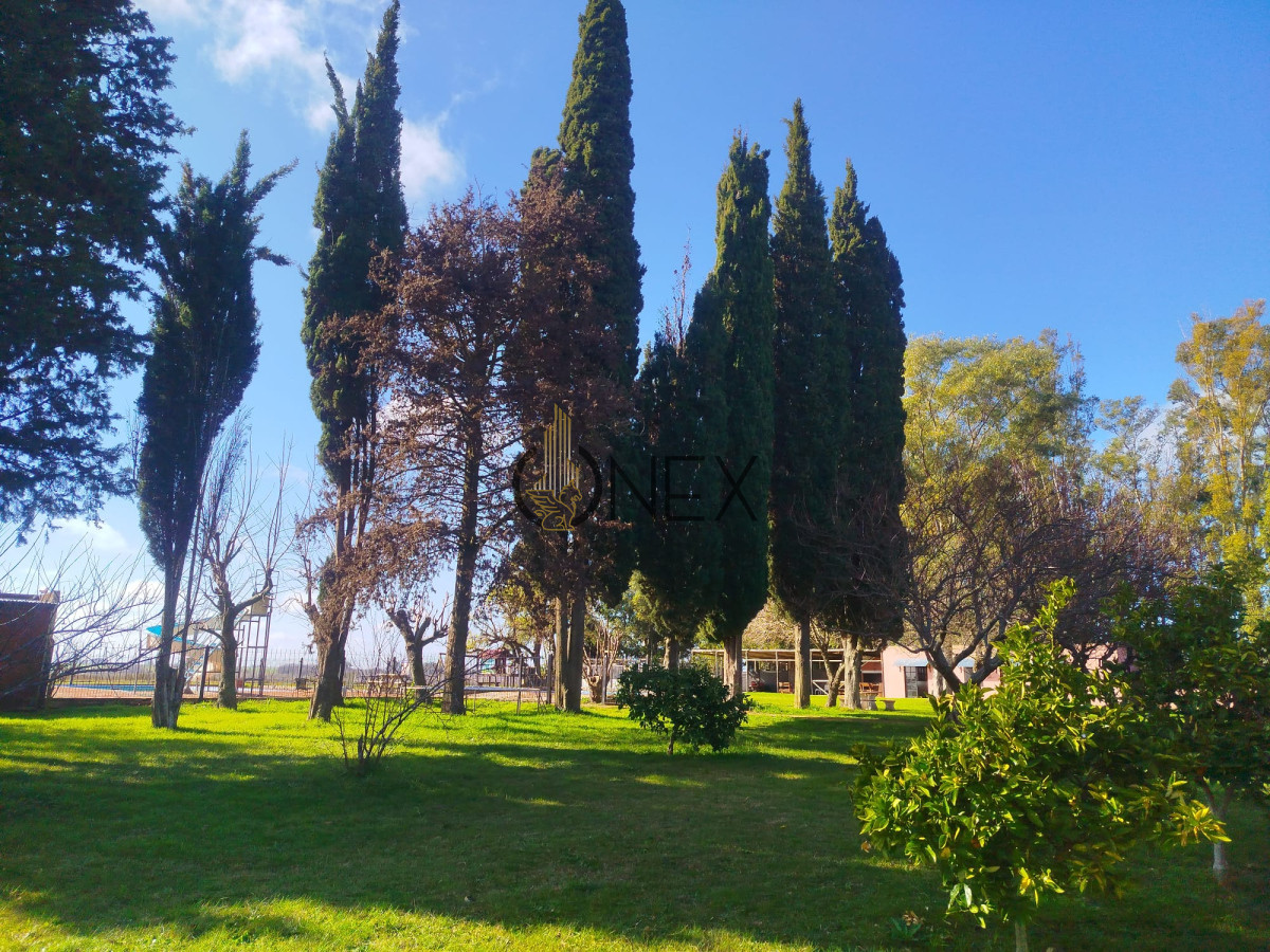 Casa ID.2211 - Venta Chacra Turistica en Colonia-San Pedro
