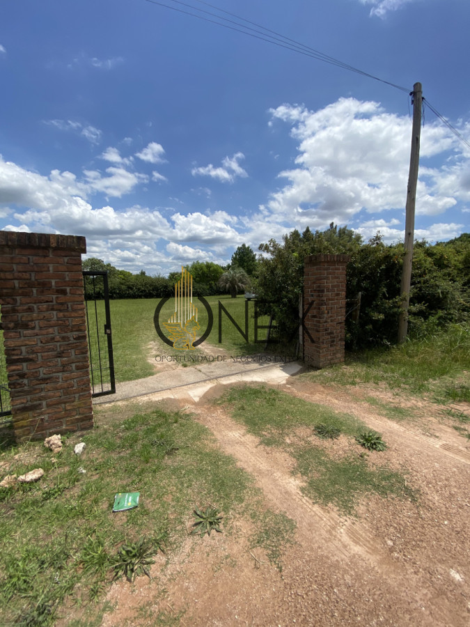 Casa ID.1558 - CASAQUINTA EN VENTA CHACRAS SAN FELIX PAYSANDU