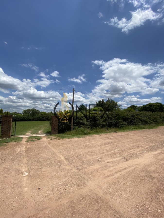 Casa ID.1558 - CASAQUINTA EN VENTA CHACRAS SAN FELIX PAYSANDU