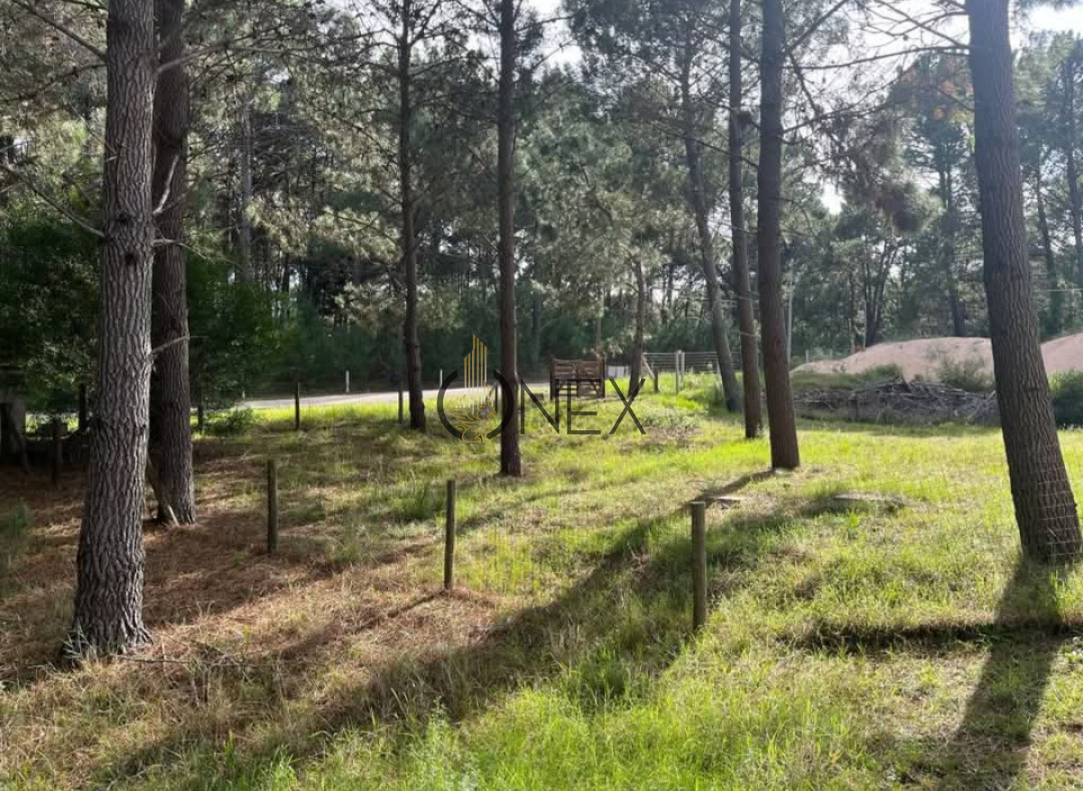 Casa ID.1531 - Casa en Punta Ballena, Club del Lago