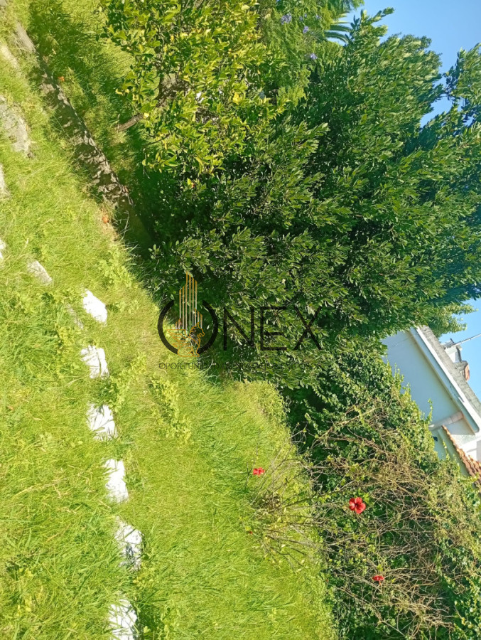 Casa ID.3761 - CASA EN COLONIA 