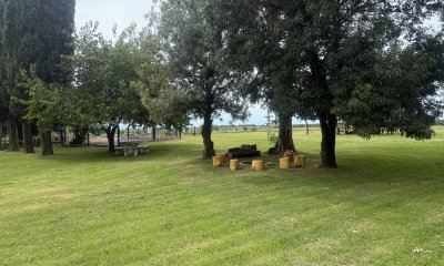 Venta Chacra Colonia