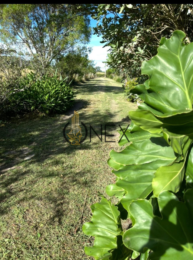 Chacra ID.3636 - Imperdible chacra 