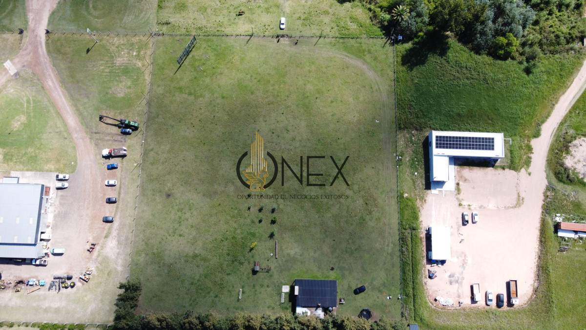 Chacra ID.1886 - CHACRA EN VENTA SOBRE RUTA 3 PAYSANDU