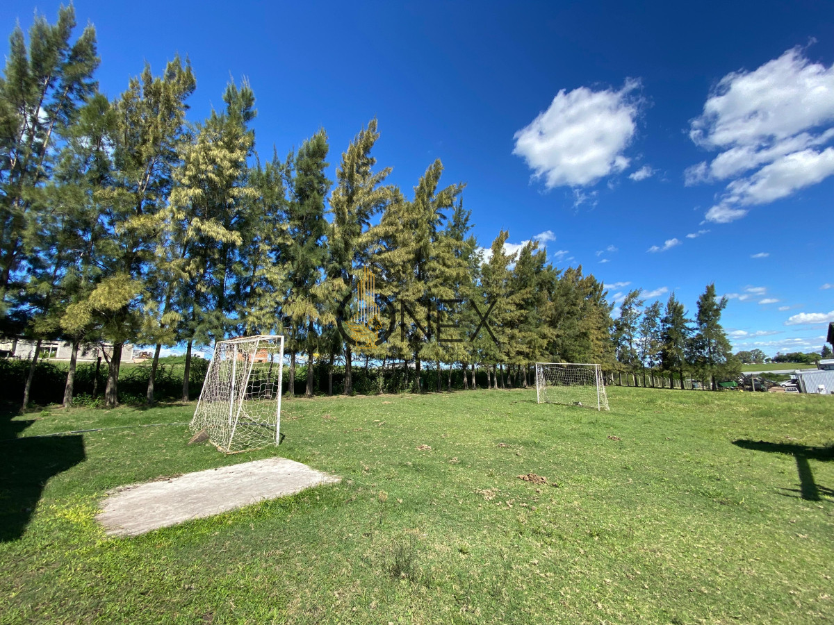 Chacra ID.1886 - CHACRA EN VENTA SOBRE RUTA 3 PAYSANDU