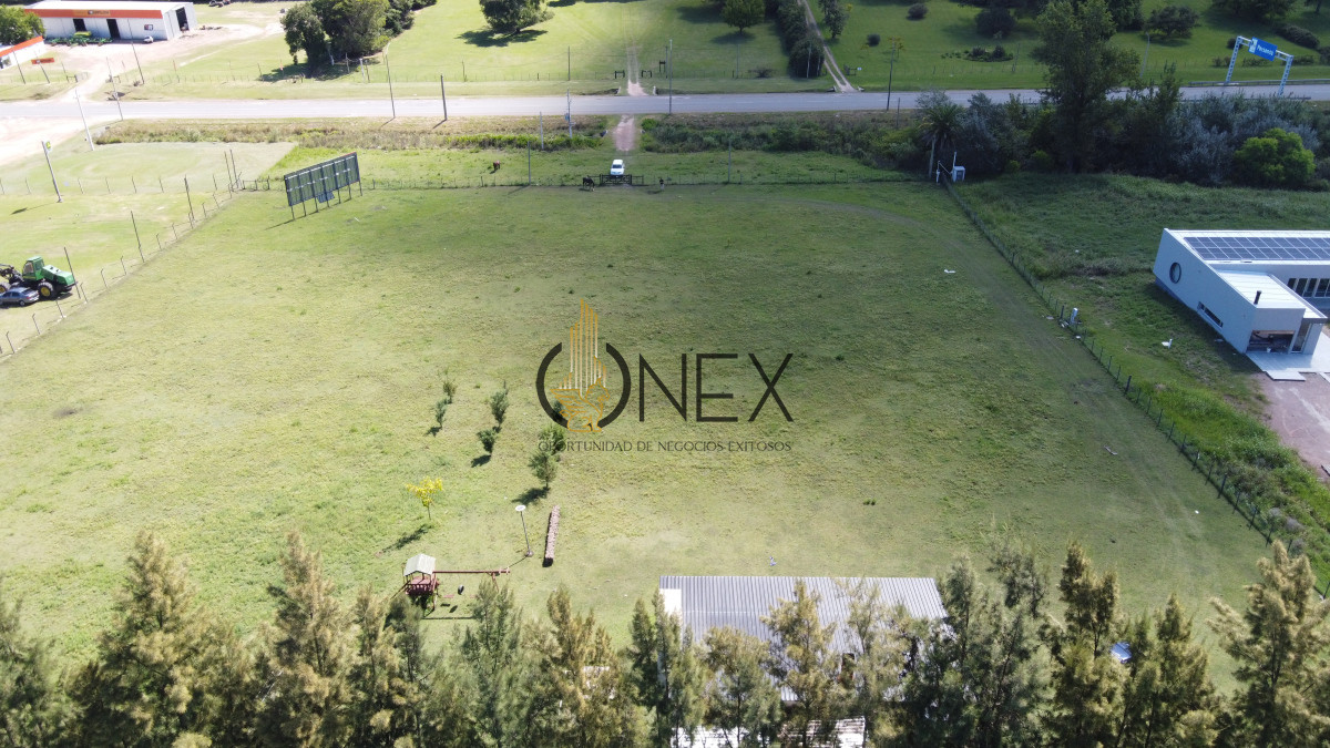 Chacra ID.1886 - CHACRA EN VENTA SOBRE RUTA 3 PAYSANDU